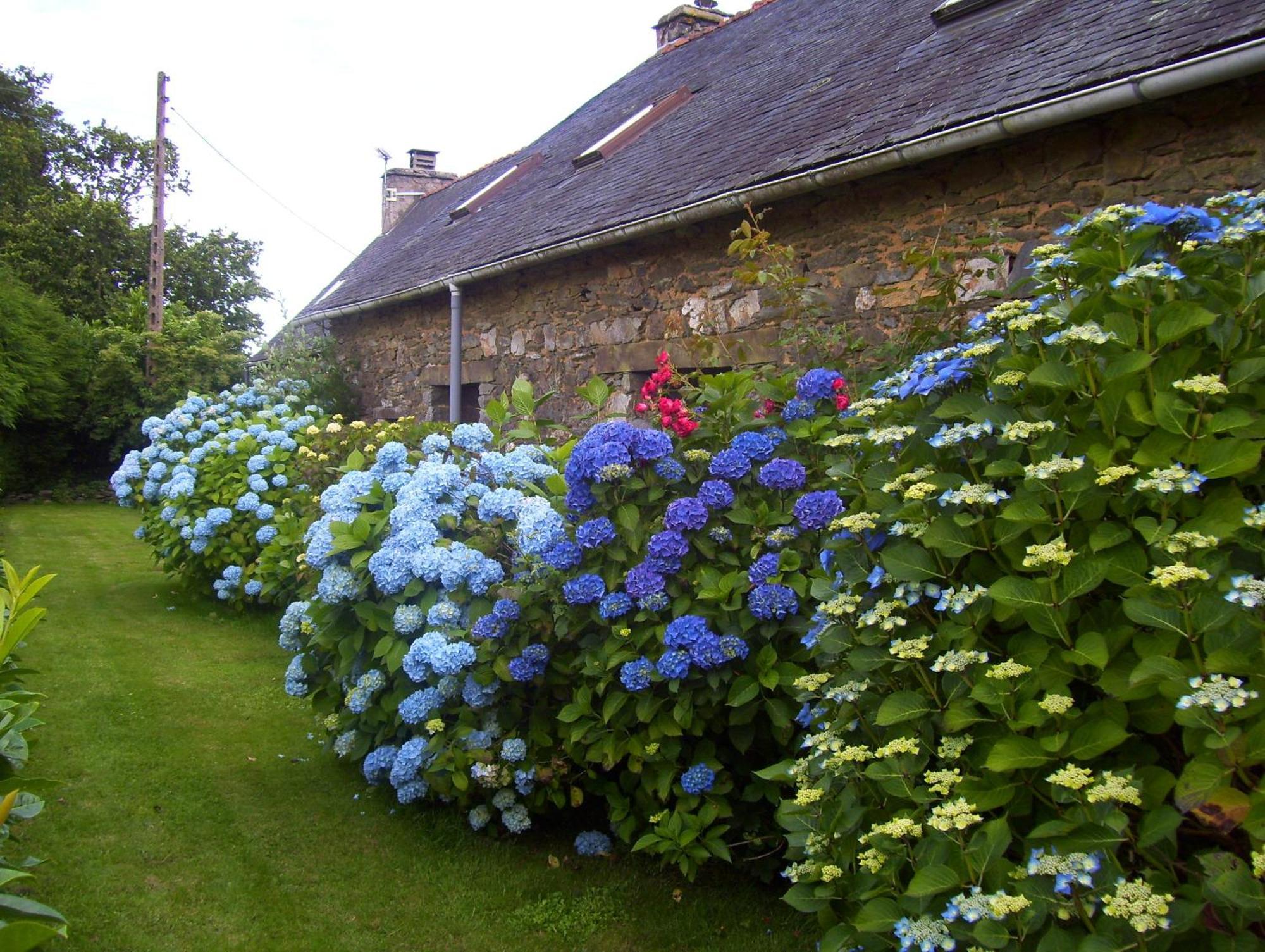 Le Boterff Gites Et Camping Saint-Mayeux Exterior foto